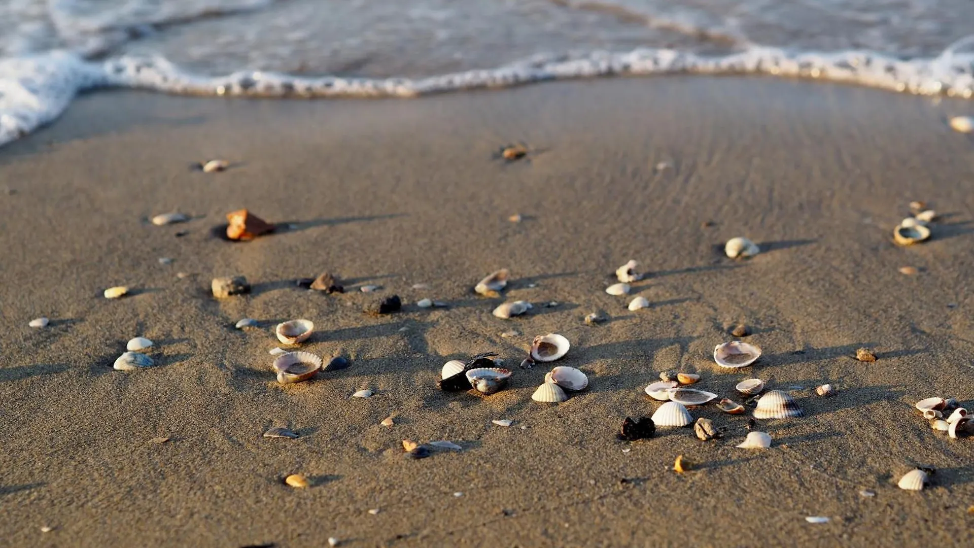 Seaside Serenity In Our 1 Bedroom Apartment Bibione